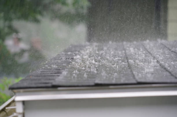 Best Wood Shake Roofing  in Clarendon Hls, IL